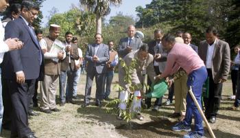 International Day of Forests 2019