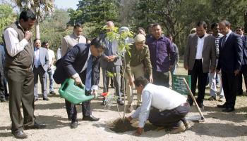 International Day of Forests 2019