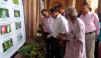 Celebration of International Day for Biological Diversity  at  ICFRE/FRI, Dehra Dun on 22nd May, 2019