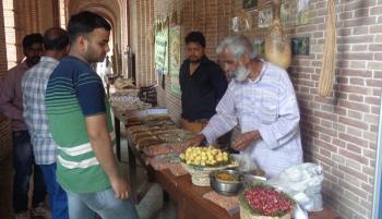 Celebration of International Day for Biological Diversity  at  ICFRE/FRI, Dehra Dun on 22nd May, 2019